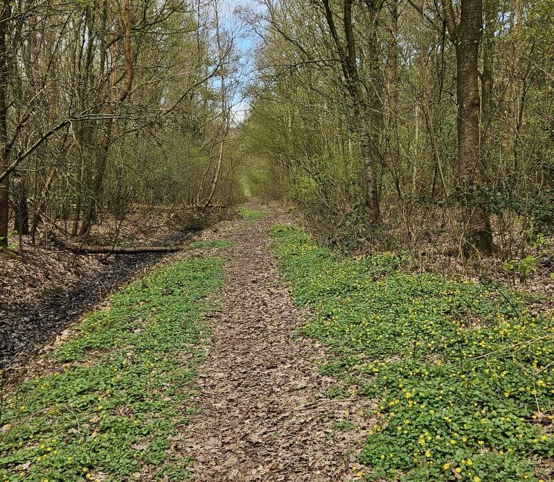 20260405_121836vierkant klein