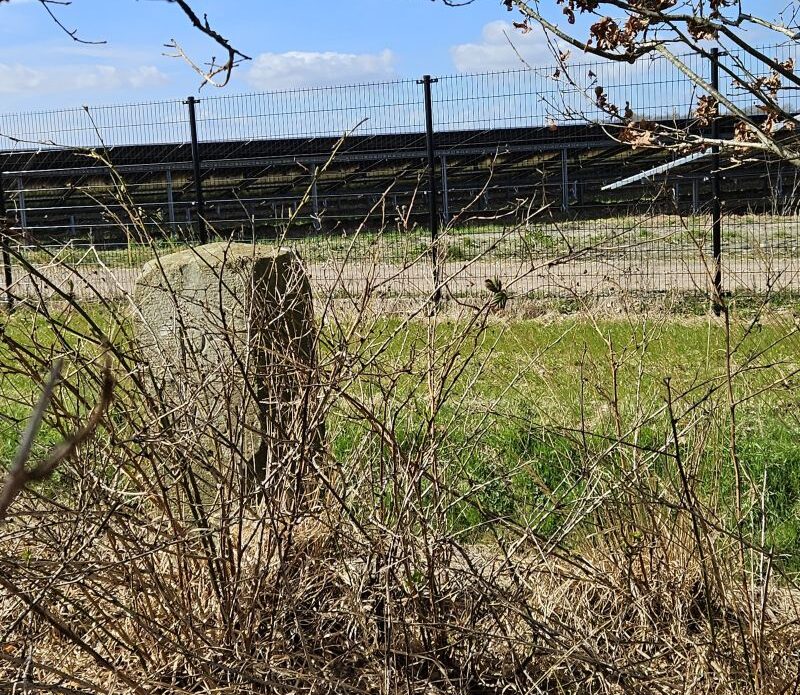 20260405_124008 vierkant klein